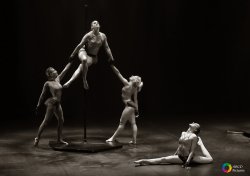 pole danse 2018